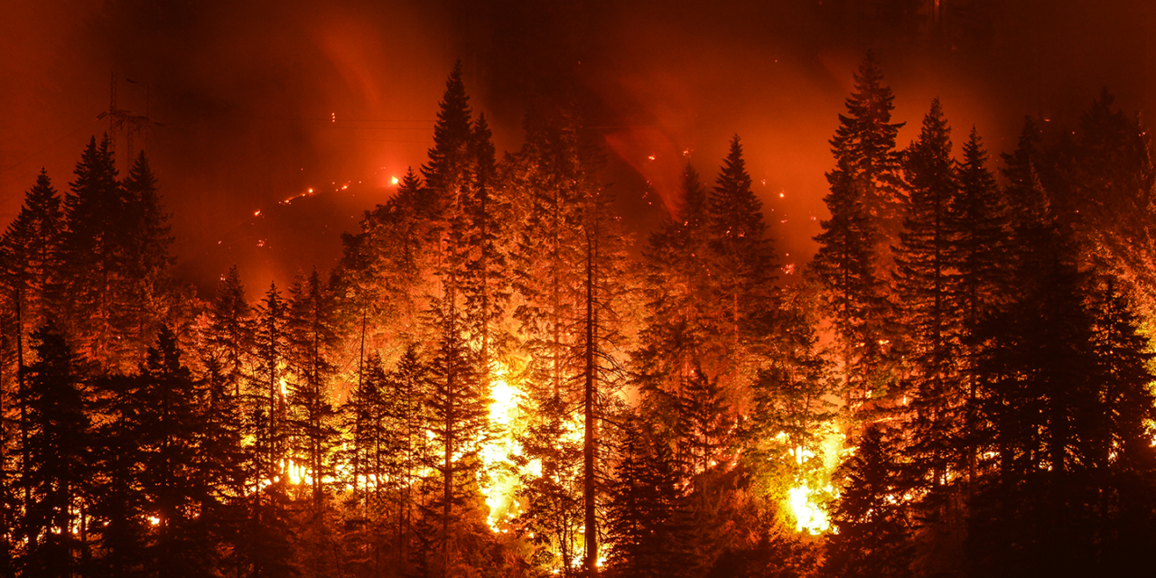 California Wildfire Prevention Needs Rational Solutions