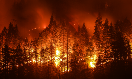 California Wildfire Prevention Needs Rational Solutions